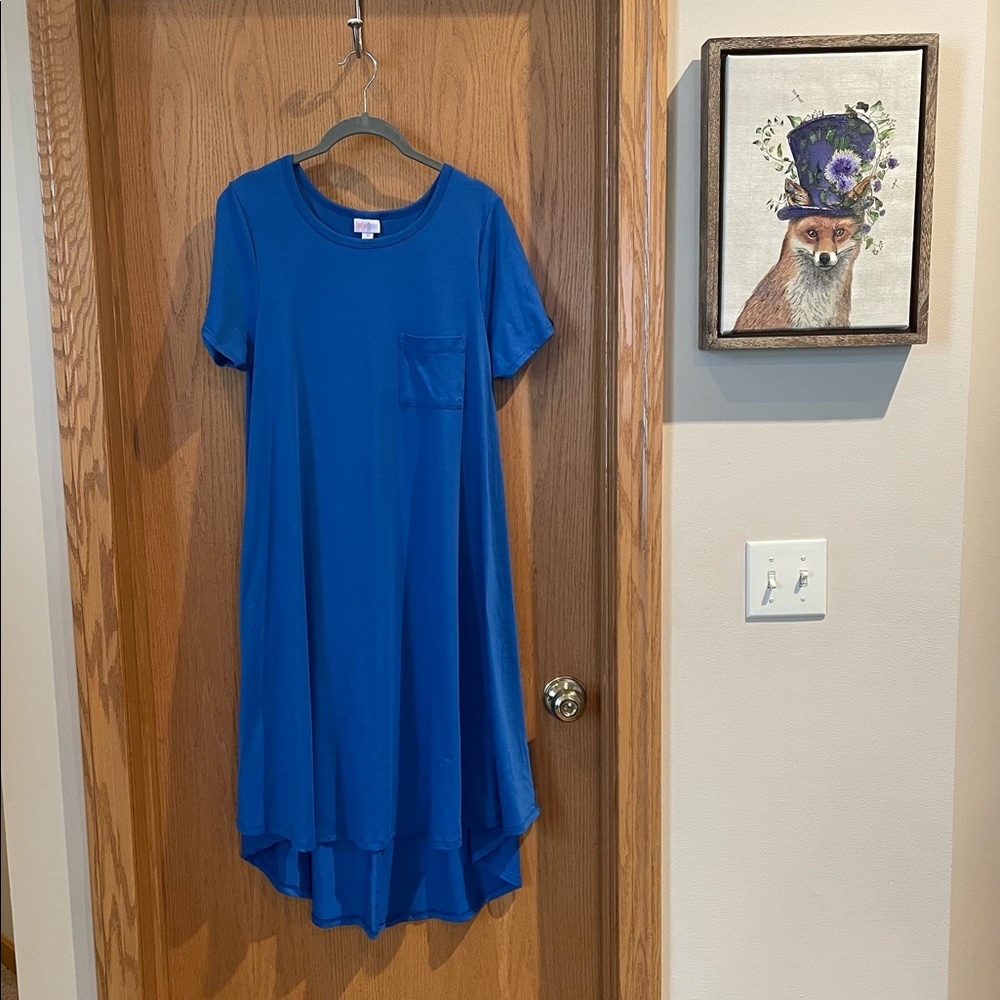 LuLaRoe Carly Hi-Low Dress